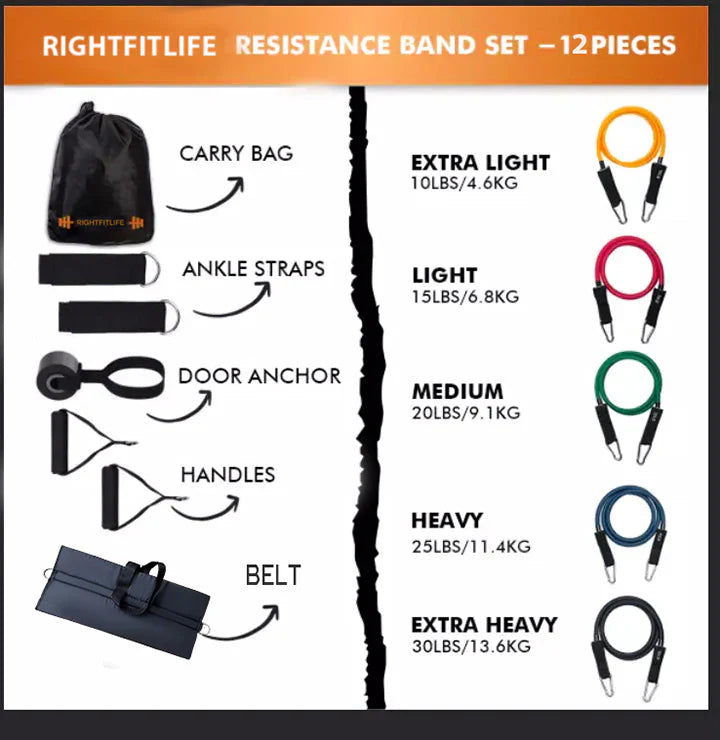 🔥 Premium 11-Piece Resistance Band Set